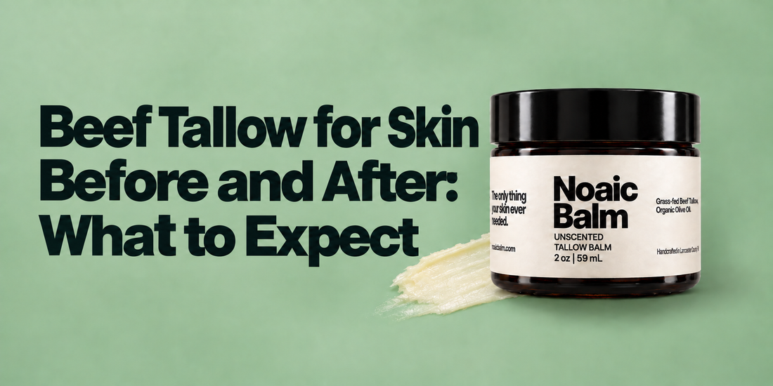 Beef Tallow for Skin Before and After: What to Expect at 1, 4 and 12 Weeks