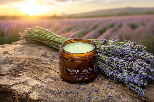 Noaic Balm grass-fed tallow balm jar in a lavender field